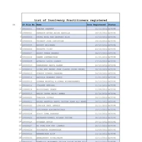 Document preview: Comprehensive Overview of IP_Register 24_12_2025 — Government & admin (IP_Register-24_12_2025)