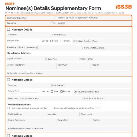 Document preview: Understanding the ISS3B Nominee(s) Details Supplementary Form — Government & admin (CERFA n°ISS3B)
