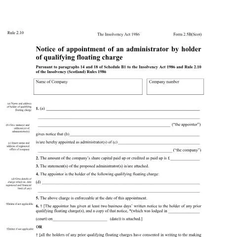 Document preview: Understanding Form 2.5B: A Key Document in Insolvency — Legal & justice