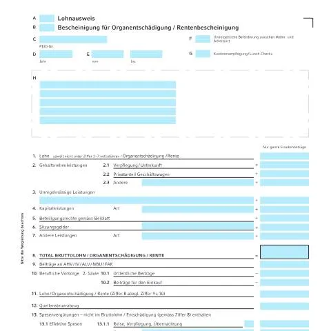 Dokumentvorschau: Die Bedeutung des Lohnausweisformulars in Liechtenstein — Steuern (CERFA n°nla_lohnausweis)