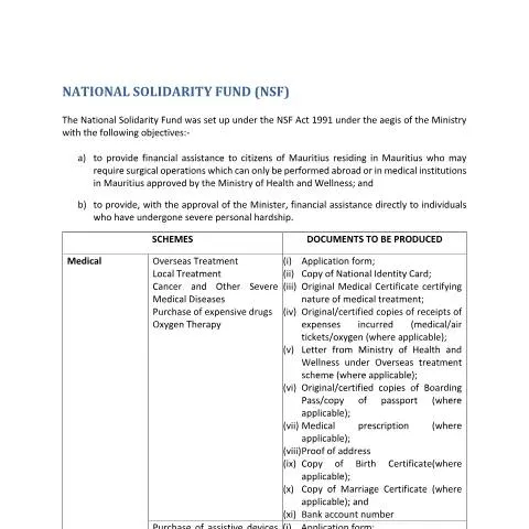 Document preview: Navigating Financial Aid with NSF Form 14042025 — Government & admin (Services-provided-by-NSF-14042025)