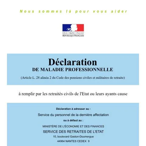 Aperçu du document Comment utiliser le formulaire 12827*02 de déclaration — Santé (CERFA n°12827*02)