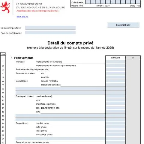 Aperçu du document Comprendre le formulaire 111c pour une déclaration d'impôt efficace — Impôts & fiscalité (CERFA n°111c)