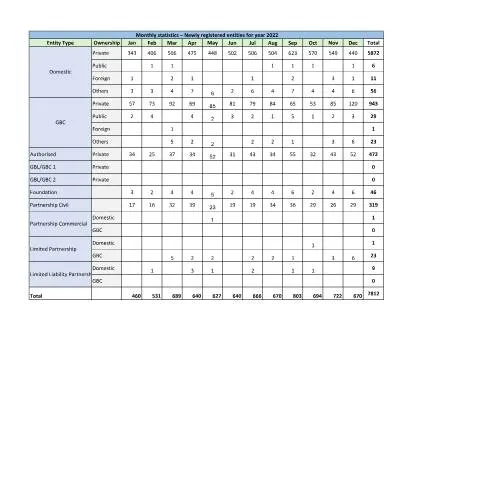 Document preview: Insights into Newly Registered Entities in Mauritius (2022-2024) — Government & admin (Monthly-statistic-Newly-registered-entities-for-year-2022-2024)