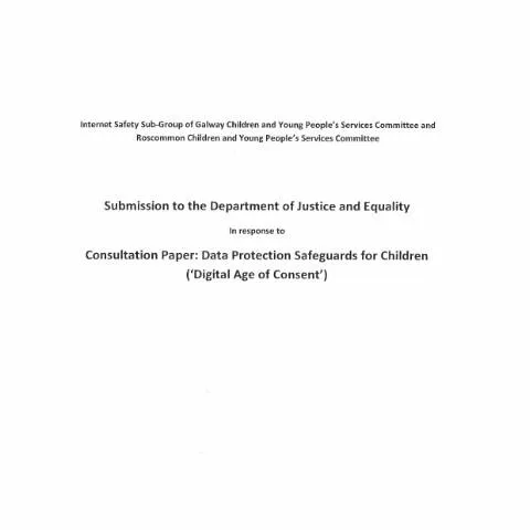 Document preview: Understanding Data Protection Safeguards for Young People — Digital & personal data