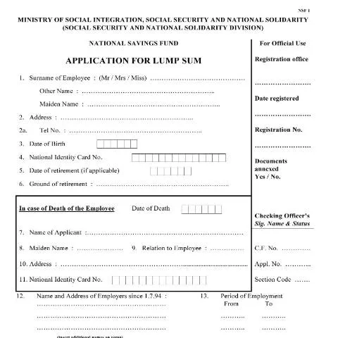 Document preview: Navigating the NSF Lump Sum Application Process — Government & admin (CERFA n°NSF-Application-For-Lump-Sum)