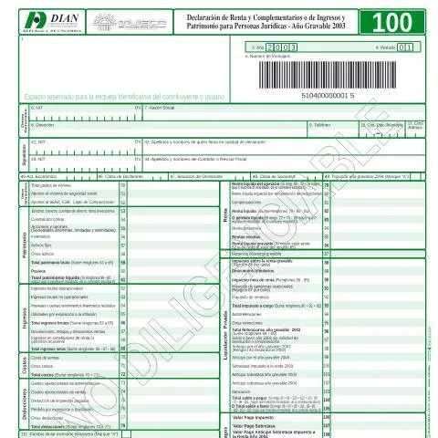 Vista previa del documento La Declaración de Renta F100-2004: Más que una Obligación Fiscal — Impuestos (CERFA n°F100-2004)
