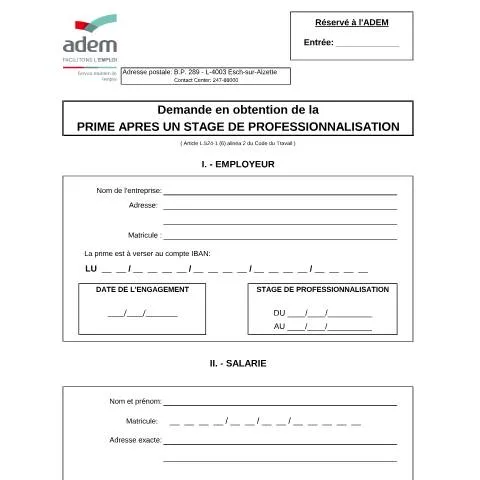 Aperçu du document Comprendre la Prime après un Stage de Professionnalisation — Emploi & travail (CERFA n°Prime-SP-DEMANDE-INITIALE)