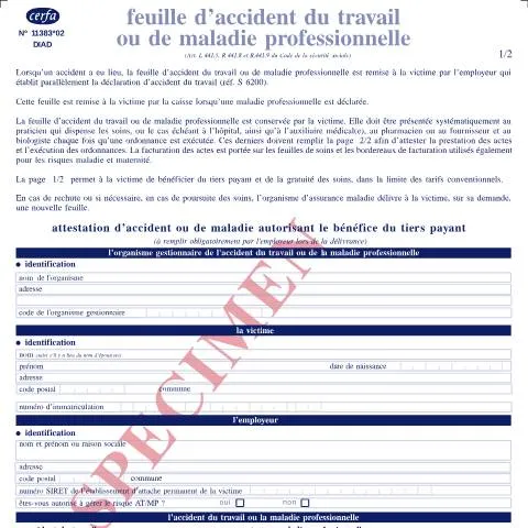 Aperçu du document Feuille d'accident du travail : votre passeport médical gratuit — Santé (CERFA n°11383*02)