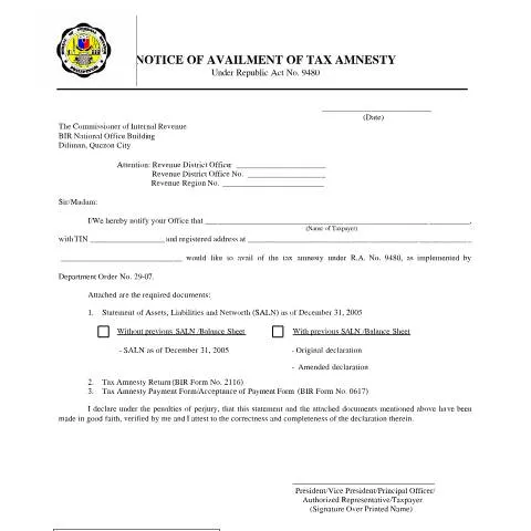Document preview: Understanding the Philippines Tax Amnesty Notice — Government & admin