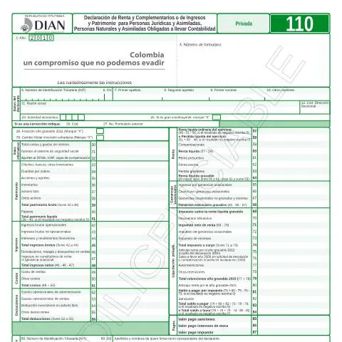 Vista previa del documento Importancia de la Declaración de Renta y Complementarios en Colombia — Impuestos (CERFA n°F110-2011)
