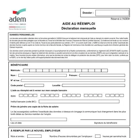 Aperçu du document Déclaration mensuelle pour l’aide au réemploi au Luxembourg — Emploi & travail (CERFA n°reemploi-declaration-mensuelle)