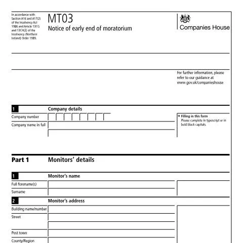 Document preview: Understanding the Early Termination of a Moratorium with MT03 — Business