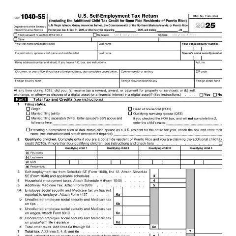Document preview: Essential Insights on Filing IRS Form 1040-SS — Taxes (CERFA n°1040SS)
