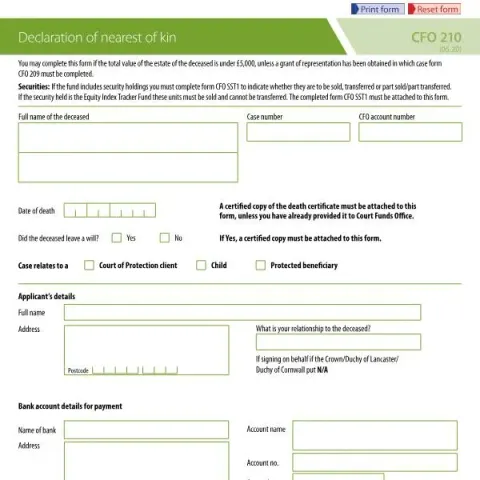 Document preview: Understanding the Declaration of Nearest of Kin Process — Government & admin (CFO 210)