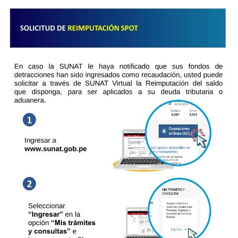 Vista previa del documento Cómo utilizar la Solicitud de Reimputación SPOT para tus detracciones — Impuestos