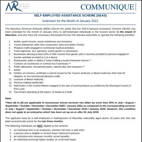 Document preview: Understanding the Importance of the Self-Employed Assistance Scheme — Taxes (SEASJanuary2021)