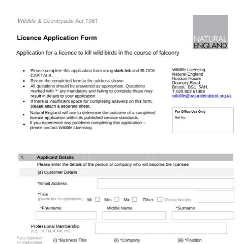 Document preview: Natural England A41 Licence: Taking Wild Birds for Falconry — Government & admin