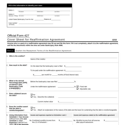 Document preview: Understanding Official Form 427: Cover Sheet for Reaffirmation — Legal & justice (B427)