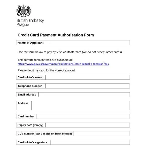 Document preview: Navigating the Czech Republic Payment Authorisation Process — Government & admin