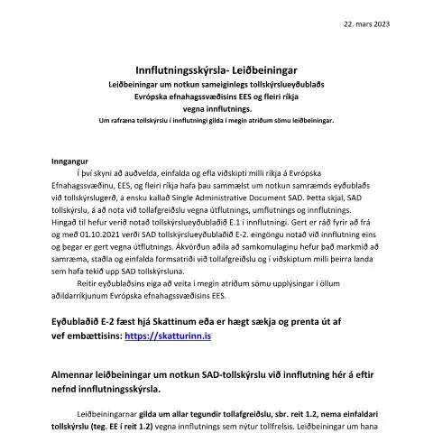 Document preview: Hvernig á að fylla út SAD tollskýrslu við innflutning — Tollur & innflutningur