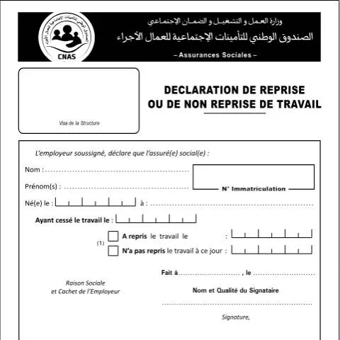 Aperçu du document Comprendre la déclaration AS 09 pour les assurés sociaux — Emploi & travail (CERFA n°AS 09)