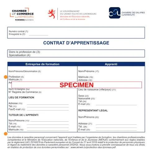 Aperçu du document Le rôle clé du contrat d'apprentissage au Luxembourg — Emploi & travail (CERFA n°7567)