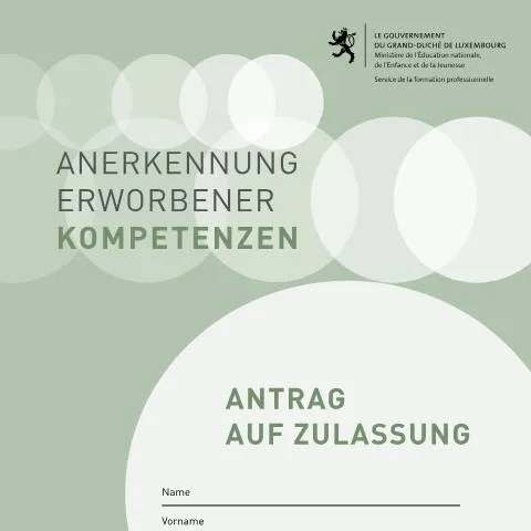 Aperçu du document Comprendre la demande de recevabilité pour la VAE au Luxembourg — Démarches administratives (CERFA n°demande-recevabilite-vae)