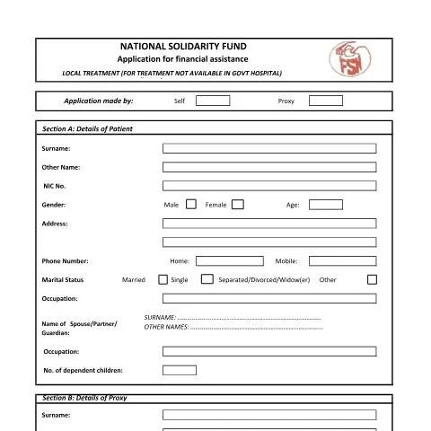 Document preview: Navigating the Local Treatment Application Process — Health (CERFA n°Local-Treatment)