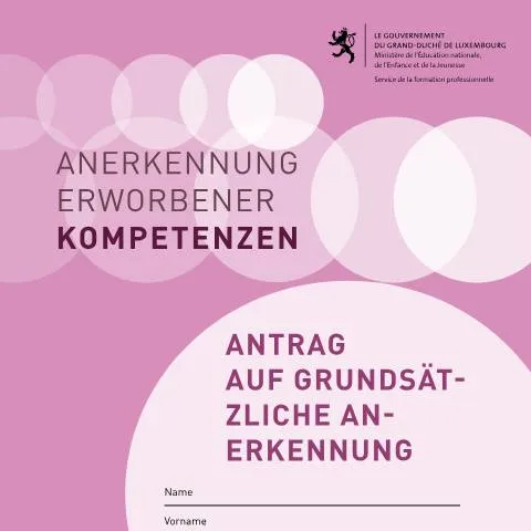 Aperçu du document Guide sur la reconnaissance des compétences au Luxembourg — Démarches administratives (CERFA n°demande-validation-vae-fond)
