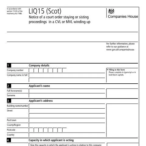 Document preview: Understanding the LIQ15 Document in Company Insolvency — Government & admin