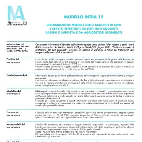 Anteprima documento Dichiarazione mensile acquisti beni e servizi INTRA 12 — Tasse e fisco