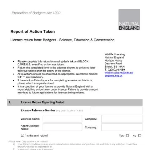 Document preview: Understanding the Badgers Report Action Form in Conservation Efforts — Government & admin