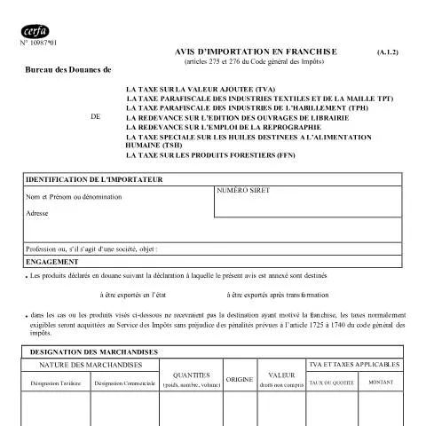 Aperçu du document Franchise de TVA à l'importation : dispositif et conditions — Démarches administratives (CERFA n°10987*01)