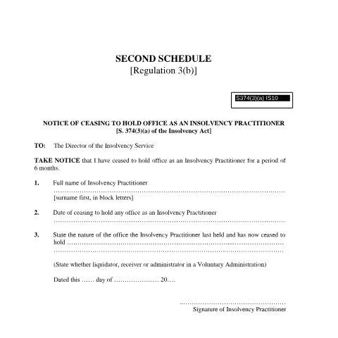 Document preview: Understanding the Insolvency Practitioner Ceasing Notice _IS10 — Government & admin (CERFA n°Notice-of-Ceasing-to-hold-office-as-an-Insolvency-Practitioner-_IS10)