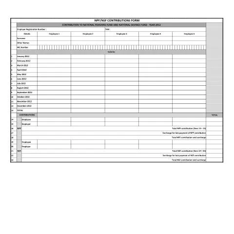 Document preview: Understanding the NPF/NSF Contributions Form — Government & admin (FormNSF2013)