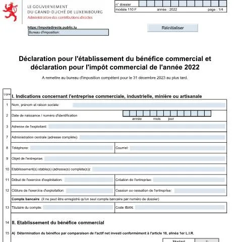 Aperçu du document Guide sur le Formulaire 110 F pour l'impôt commercial — Impôts & fiscalité (CERFA n°110 F)