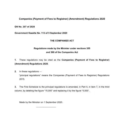 Document preview: Understanding the Impact of GN. 207 of 2020 on Businesses — Government & admin (GN.-207-of-2020)
