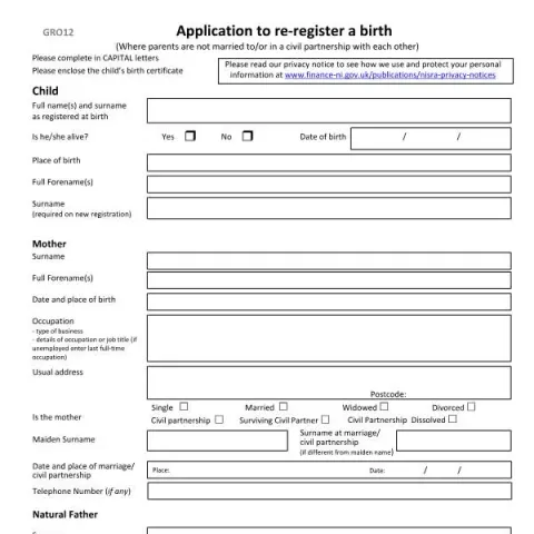 Document preview: Guide to GRO12 Birth Re-Registration in Northern Ireland — Civil status & identity (GRO 12)