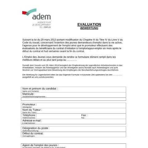 Aperçu du document Suivi et évaluation du jeune en contrat d’initiation à l’emploi — Emploi & travail (CERFA n°evaluation-CAE_CIE)