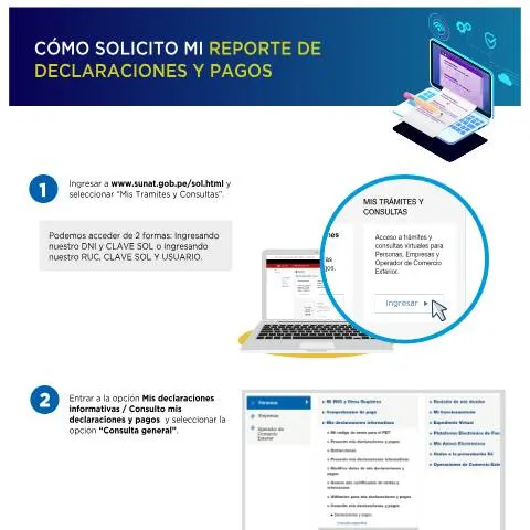 Vista previa del documento Guía para Obtener el Reporte de Declaraciones y Pagos en Perú — Impuestos