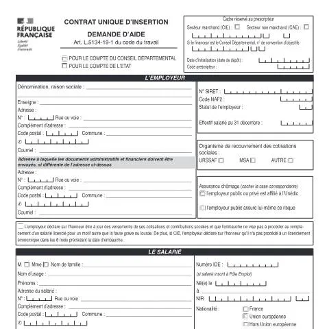 Aperçu du document Formulaire 14818*04 : guide complet de la demande CUI — Emploi & travail (CERFA n°14818*04)