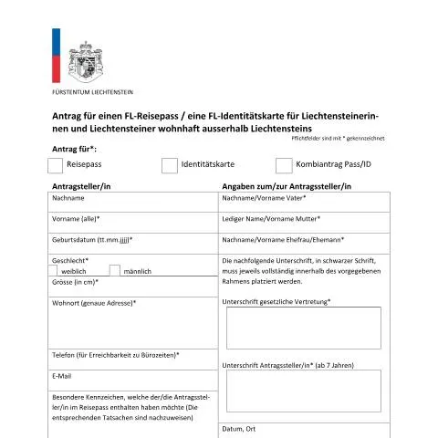 Dokumentvorschau: Wichtige Informationen zum Formular Antragsstellung im Ausland — Behörden & Verwaltung (CERFA n°passantrag_ausland)