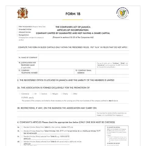 Document preview: Navigating Form 1B for New Companies in Jamaica — Government & admin (CERFA n°FORM_1B_18092023)