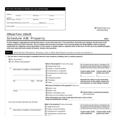Document preview: Understanding Schedule A/B: Property in Bankruptcy Filings — Legal & justice (B106AB)