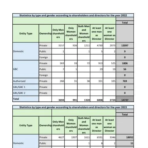 Document preview: Analyzing Gender Composition in Shareholders and Directors — Government & admin (Statistics-by-type-and-gender-according-to-shareholders-and-directors)