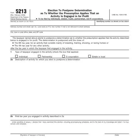 Document preview: Mastering IRS Form 5213 for Business Profit Postponement — Taxes (CERFA n°5213)