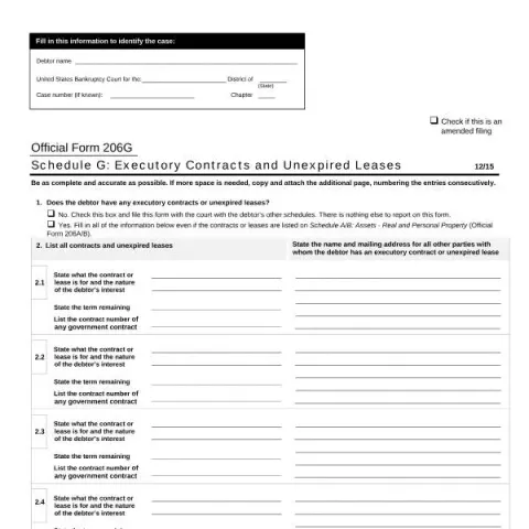 Document preview: Understanding Schedule G (Form 206G): Executory Contracts — Legal & justice (206G)