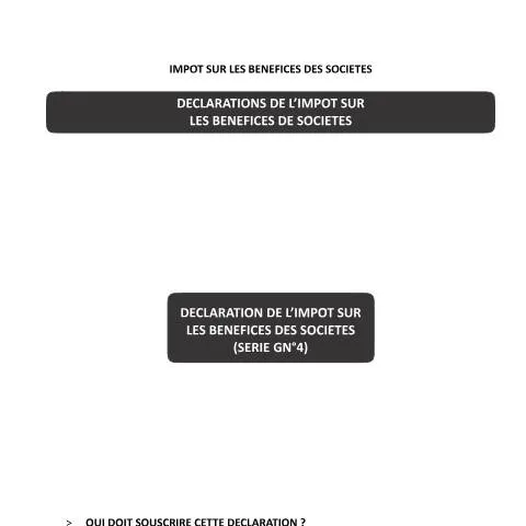 Aperçu du document Comprendre la déclaration GN° 4 pour une gestion fiscale efficace — Impôts & fiscalité (CERFA n°GN° 4)
