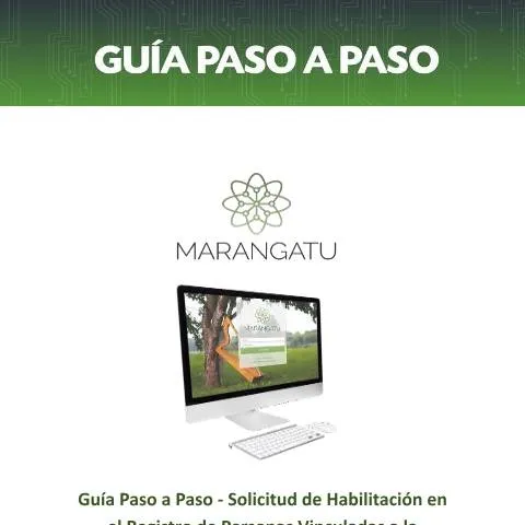 Vista previa del documento Paso a paso para habilitarse en el Registro PVAA sin RUC — Impuestos